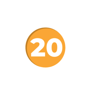 20-year-white-version