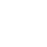 technical-sebo